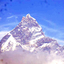 Global Travels Global Travels