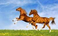 Advance Tourism Advance Tourism