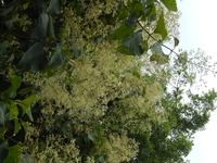 Dscn0057