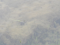 Dscn0119