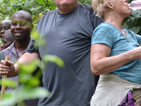 A Gorilla Tracking Experience