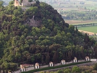 Monselice Landscape