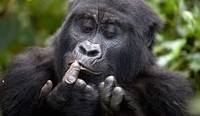 Africa Adventure Vacations Africa Adventure Vacations