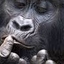 Africa Adventure Vacations Africa Adventure Vacations