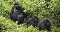 AAB Tours And Travel AAB Tours And Travel