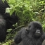 AAB Tours And Travel AAB Tours And Travel