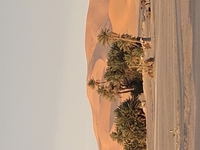 Casablanca Tours