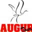 Augur