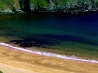 Blue Water Blue Water