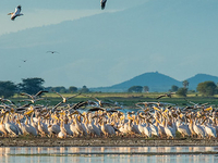 Lake Manyara