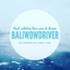 Baliwowdriver Baliwowdriver