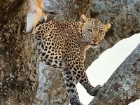 World Safari Land Tours & Travel (T) Ltd World Safari Land Tours & Travel (T) Ltd