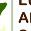 Lutea Safaris Lutea Safaris