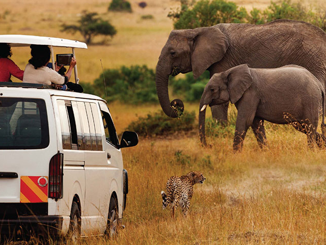 3 Days Kenya Private Lodge Safari To Great Maasai Mara Photos