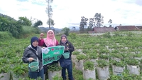 Pennggu