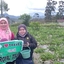 Pennggu Pennggu