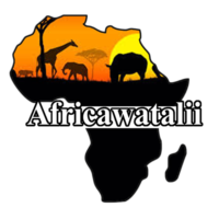 AfricaWatalii AfricaWatalii