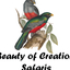 Beauty Safaris Beauty Safaris
