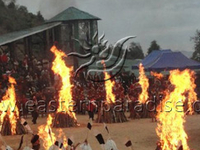 Hornbill Festival
