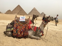 Advisortours