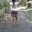 Debra $tours