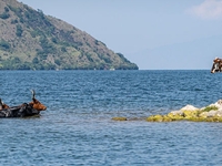 Lake Kivu adventure Lake Kivu adventure