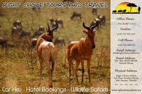 Right Safaris Right Safaris