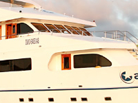 Galaxy Cruise (Galapagos Islands) Galaxy Cruise (Galapagos Islands)