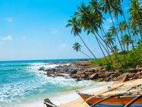 Images 38