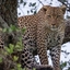 African_Magical_Treasures