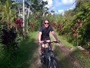 Bali Tours