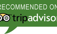 Trip Advisor