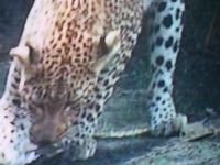 PioneerMedicaltours AndwildlifeSafaris__12-Dec PioneerMedicaltours AndwildlifeSafaris__12-Dec
