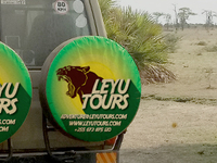 Leyu Tours & Wildlife Adventures Visit To Tarangire National Park, It Was Awesome!
