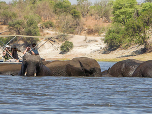 Botswana Community & Conservation Safari Photos