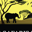 African Limited African Limited