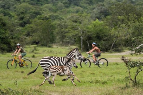 2 Days Lake Mburo National Park Safari Photos