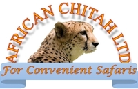 African Chitah African Chitah