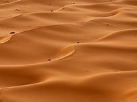 Desierto Que Ruge