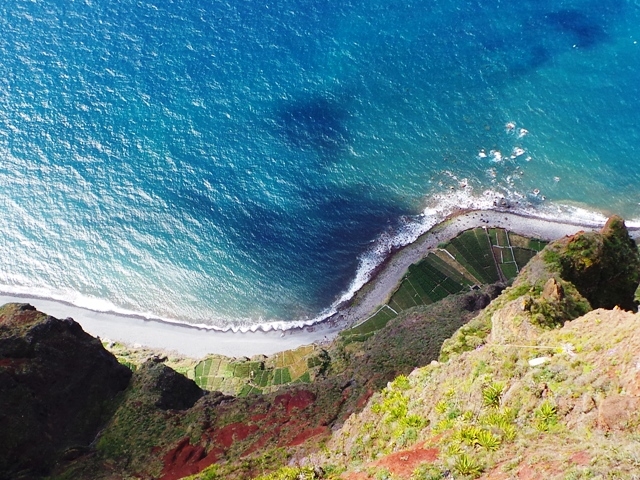 Skywalk & Professional Wine Experience + Dolphin Watching Photos