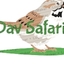 Dav Safaris