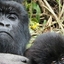 Africa Vacations Africa Vacations