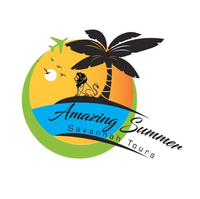 Amazing Tours Amazing Tours
