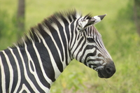 Bryt Tours