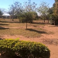 Sasan Kumponda