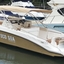 Ecosea Mauritius