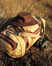 Bornwild Safaris