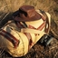 Bornwild Safaris Bornwild Safaris