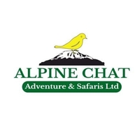 Alpine Adventure