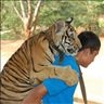 Tiger Temple Tiger Temple